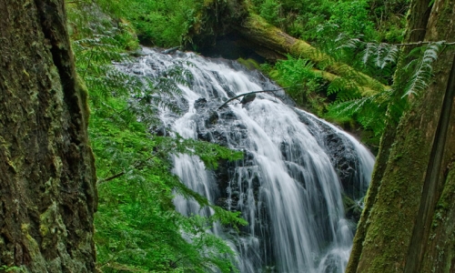 San Juan Islands Parks