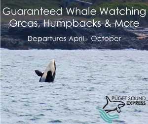 Puget Sound Express - Whale Watching Tours