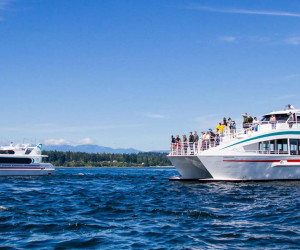 Puget Sound Express - Whale Watching Tours