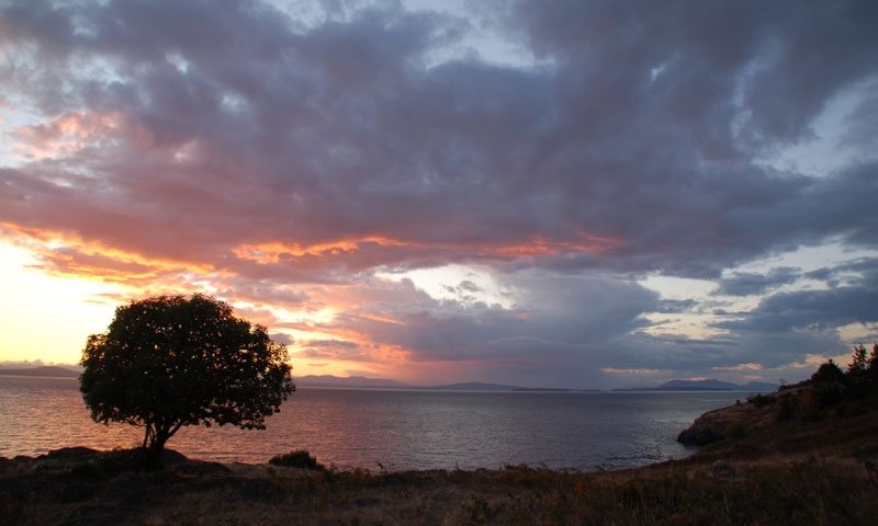 Haro Starit runs between San Juan Island and Vancouver Island
