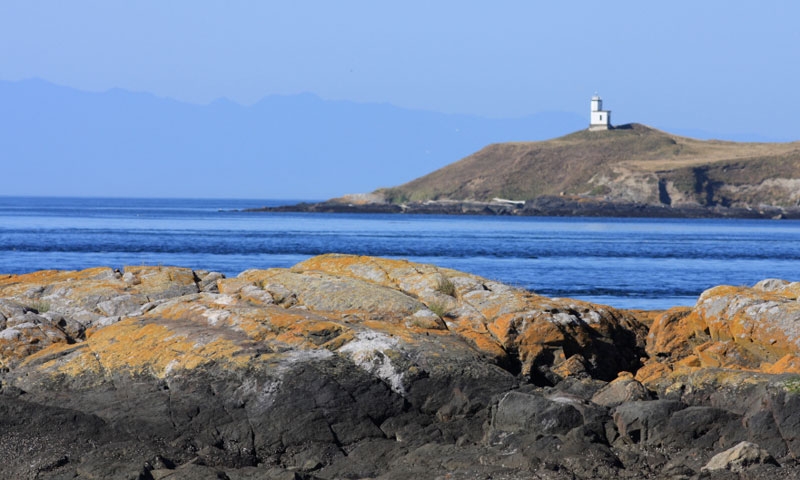 Cattle Point Lighthouse on San Juan Island