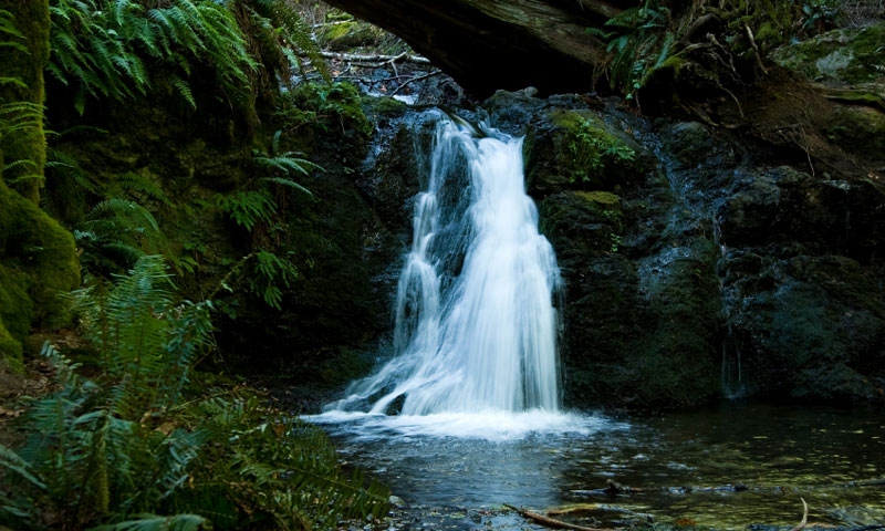 Cascade Falls in Moran State Park on Orcas Island