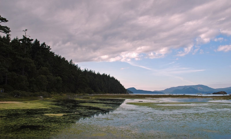 Spencer Spit State Park on Lopez Island