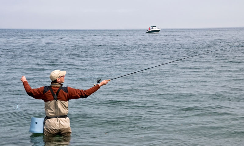 Fishing for Coho Salmon in the Puget Sound