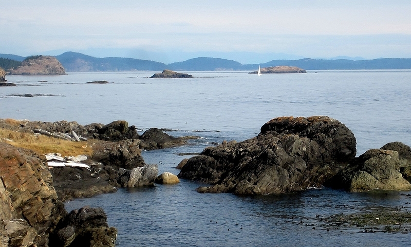 Iceberg Point Washington