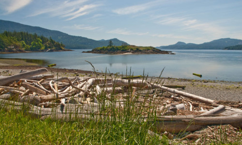 Coastline