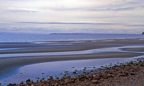 Salish Sea