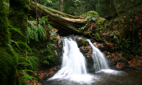 Rustic Falls