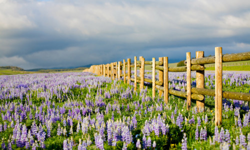 San Juan Islands National Wildlife Refuge