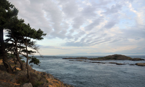 Shark Reef Sanctuary