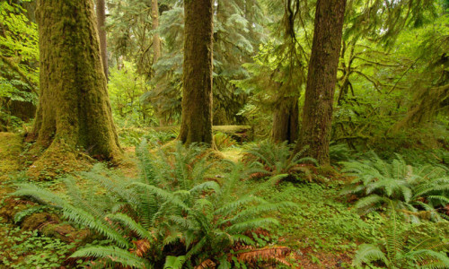 Obstruction Pass State Park